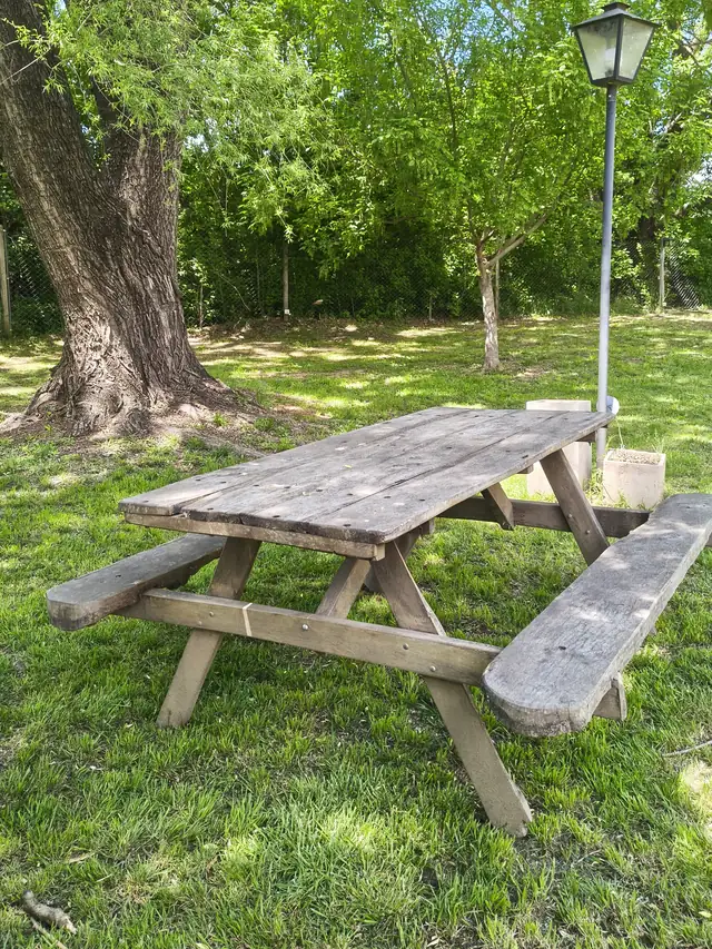 Mesa de picnic de madera bajo los árboles
