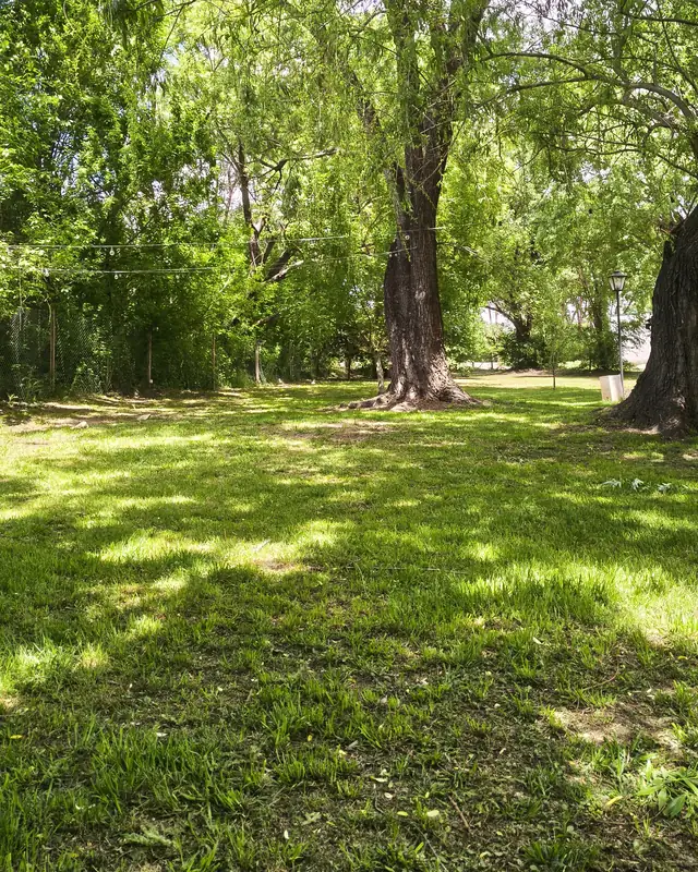Parque con césped y grandes árboles
